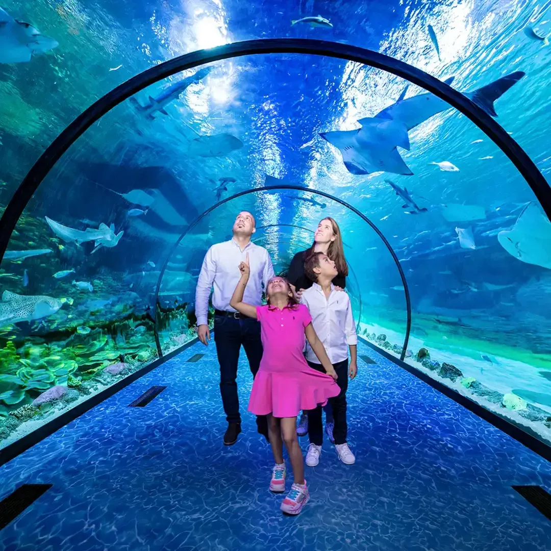 The National Aquarium Abu Dhabi